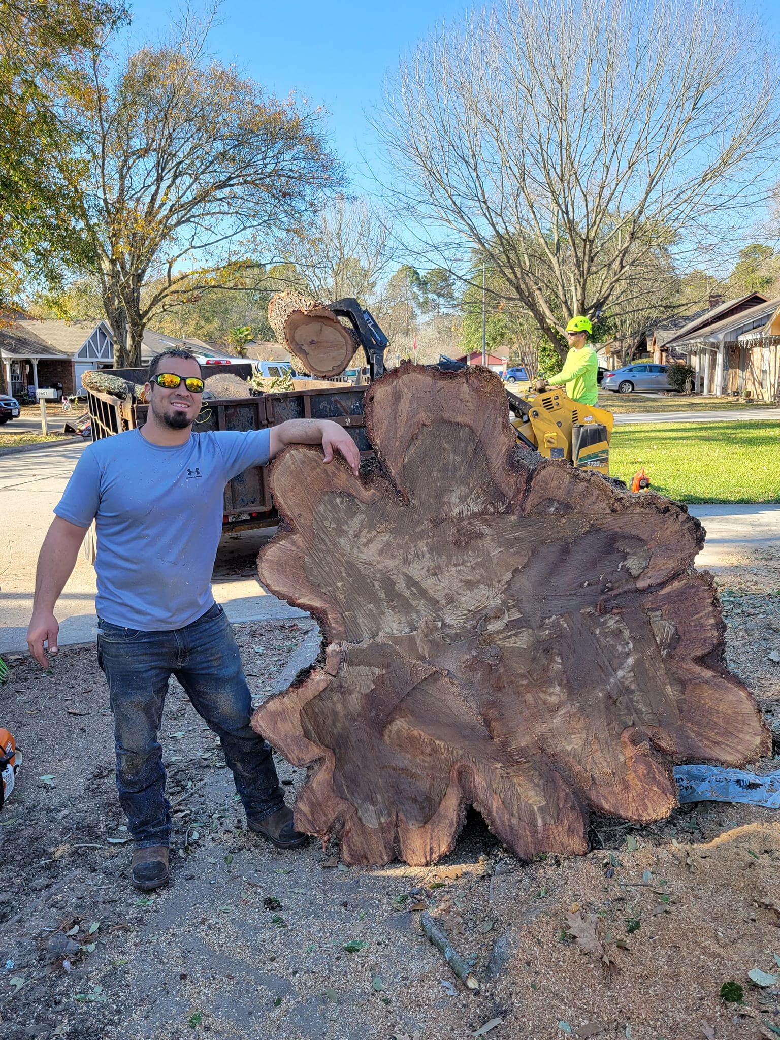 about us image - Phoenix Driven Tree Services