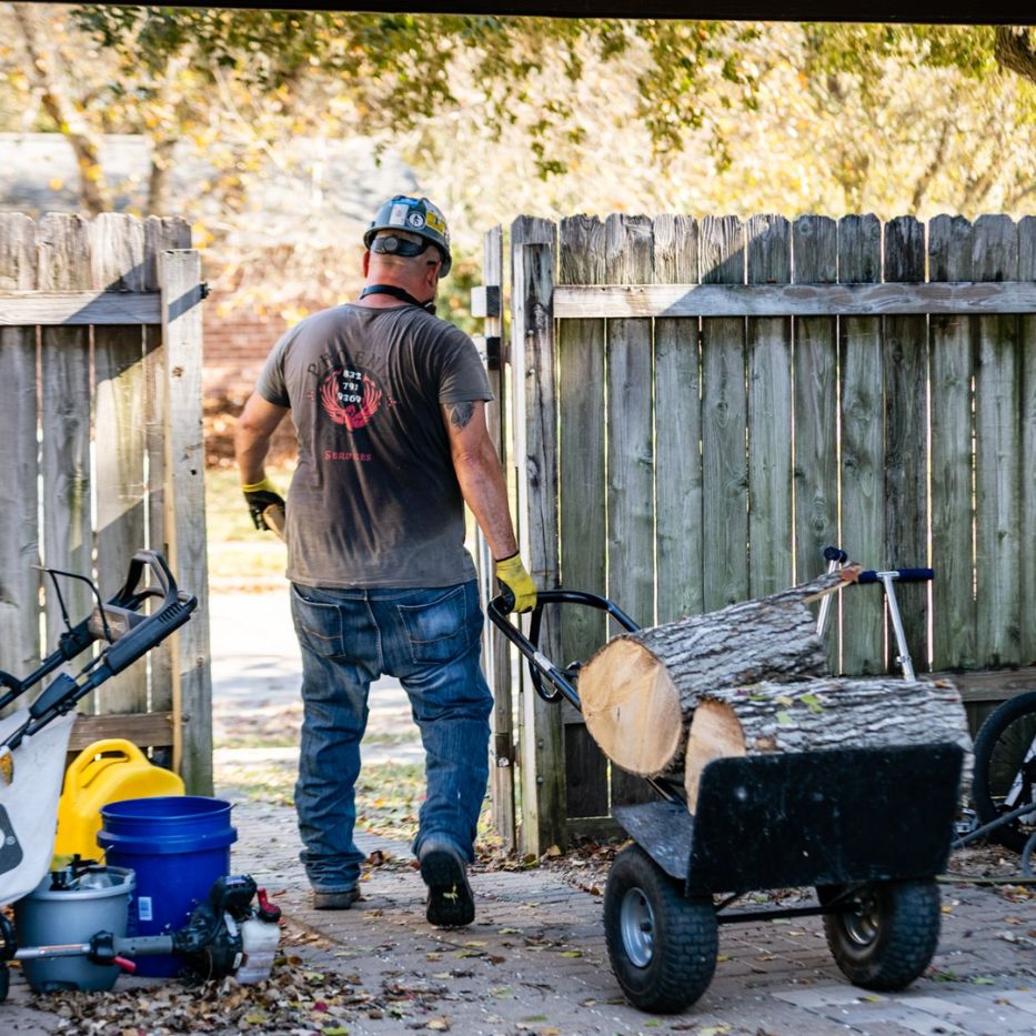removal stump - Phoenix Driven Tree Services