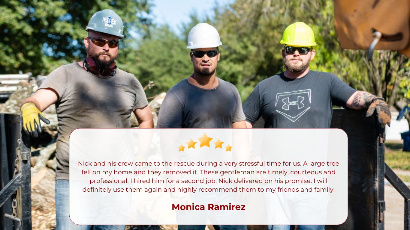 review image - Phoenix Driven Tree Services
